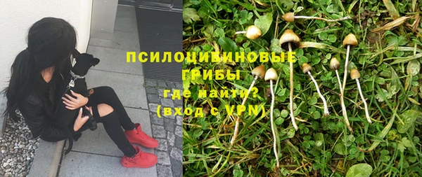 первитин Абдулино